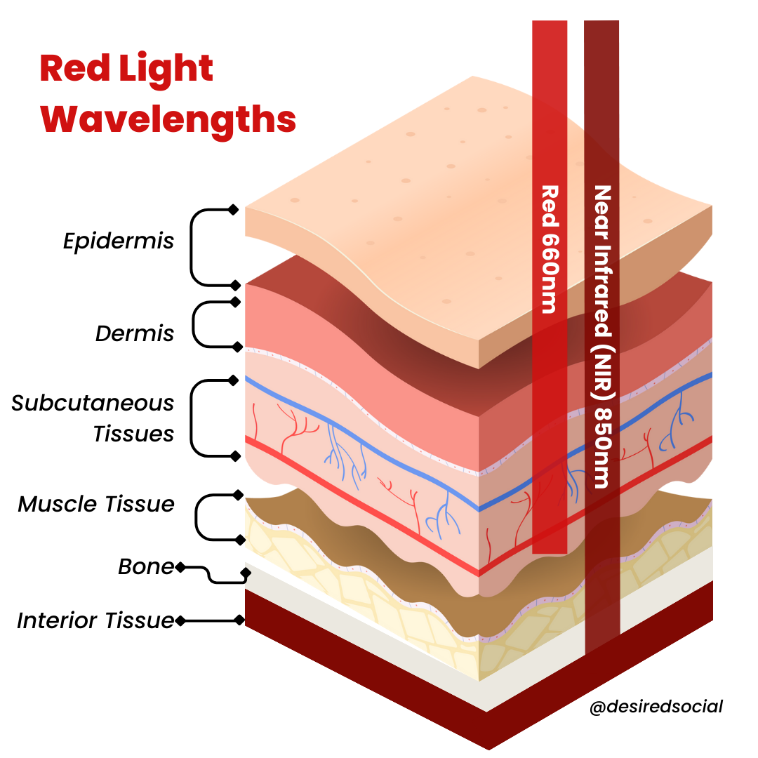 Desired Lights | Learn about Red Light Therapy